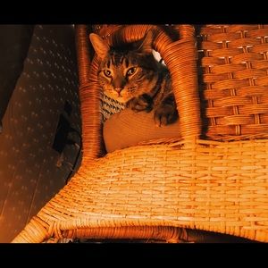 Meet your Posher, Carly